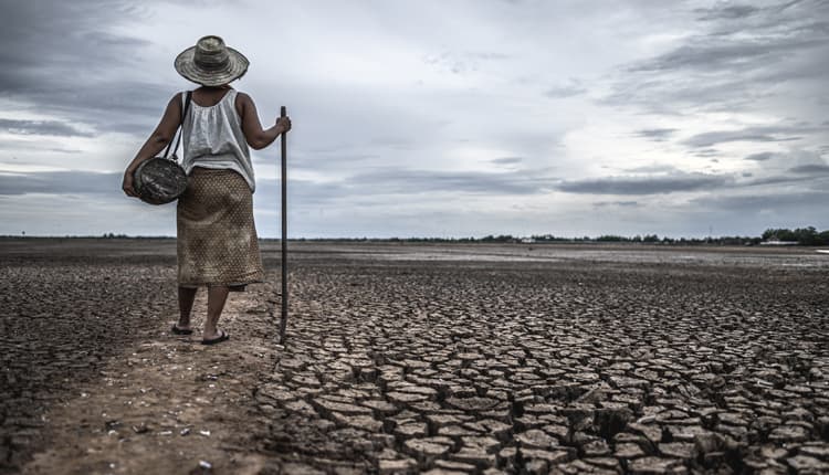 La Corne de l’Afrique échappe de justesse à la famine grâce à une mobilisation internationale de 2,4 milliards de dollars