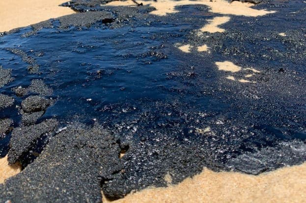 Déversement catastrophique de pétrole au Nigeria : Appel urgent à l’action pour mettre fin à la crise environnementale dans le delta du Niger