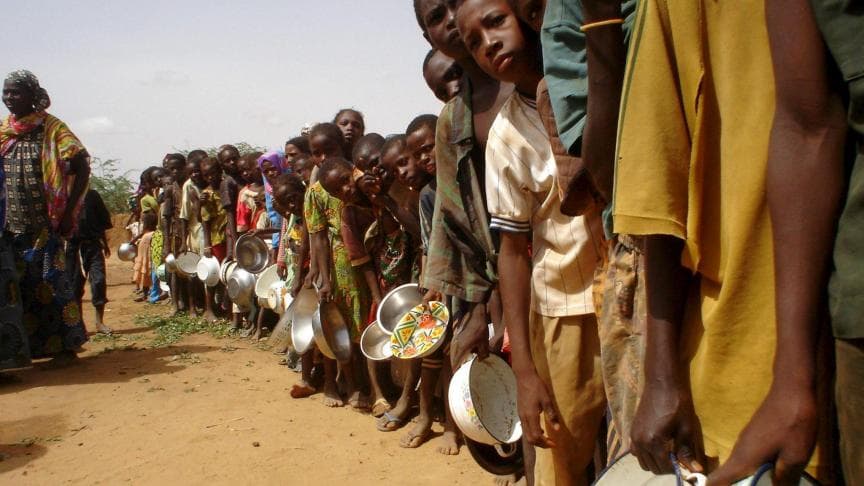 RDC : Situation alimentaire alarmante, plus de 25 millions de personnes touchées par la faim selon la FAO