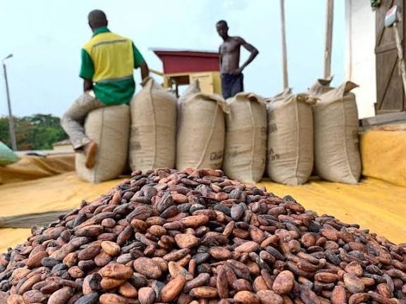 Ghana-États-Unis: Washington lève les droits de douane de 15 % sur les exportations agricoles ghanéennes