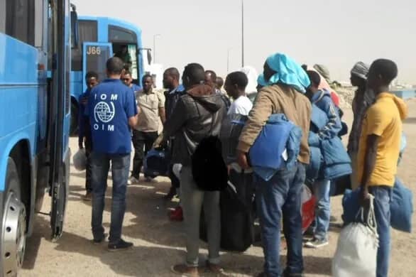 Tunisie : L’OIM accélère les retours volontaires, près de 9.000 migrants rapatriés en 2025