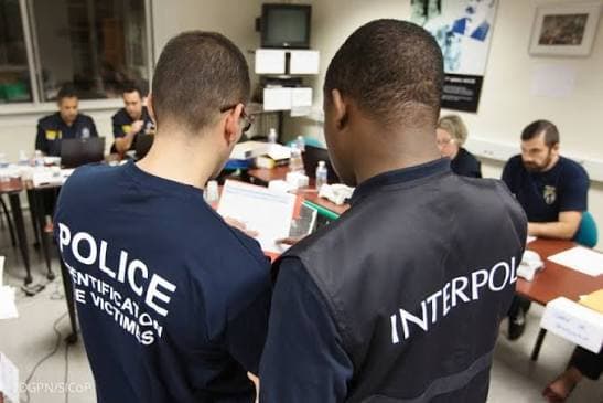 Cybercriminalité en Afrique : Interpol frappe fort contre les réseaux de cyberescrocs, 651 arrestations et des millions de dollars saisis