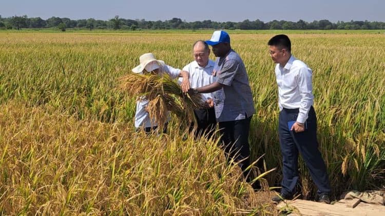 Burkina Faso : La Chine injecte plus de 160 millions FCFA en équipements pour booster la production agricole