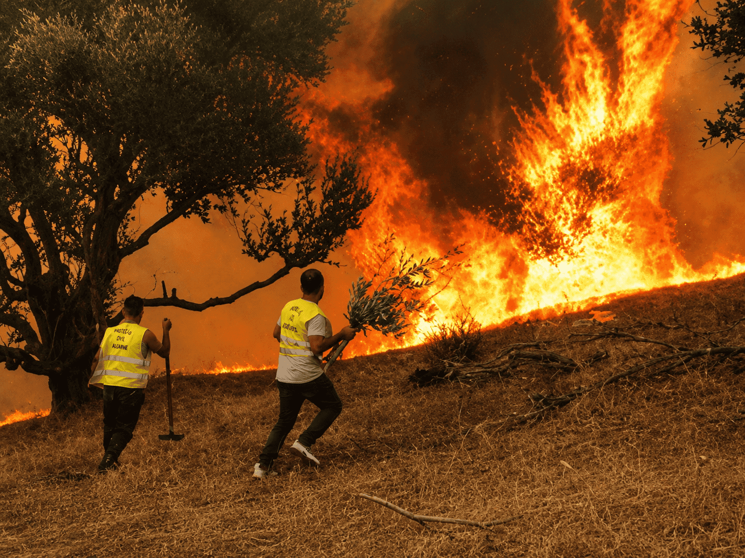 Algérie : Au moins 12 morts dans des incendies au nord-est du pays, Tebboune décrète trois jours de deuil national