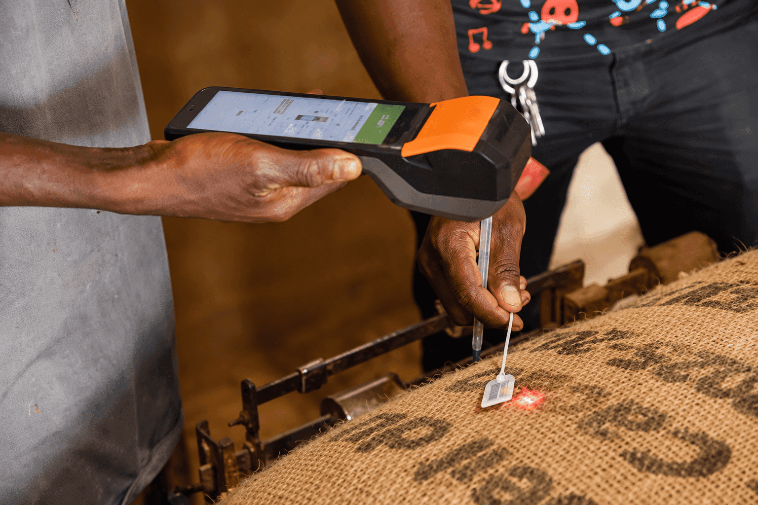 Côte d’Ivoire : Cacao, le SNT trace 50 085 tonnes en deux semaines