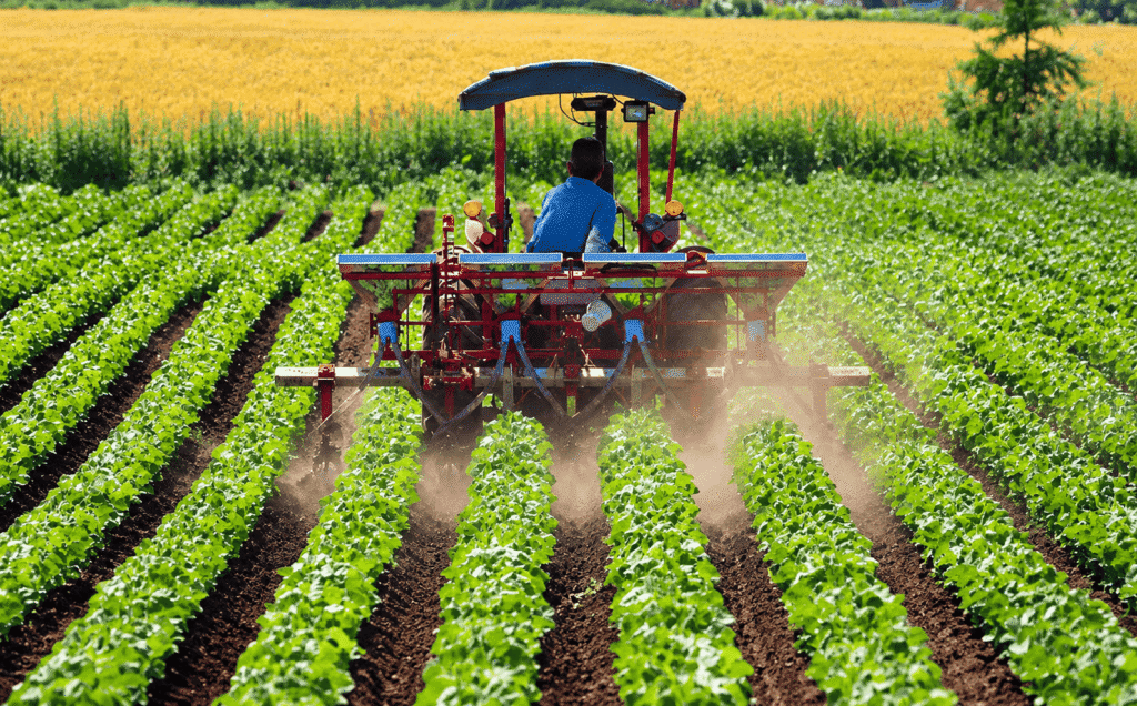 Zambie : un budget supplémentaire de 19,9 milliards de kwachas pour payer les producteurs de maïs